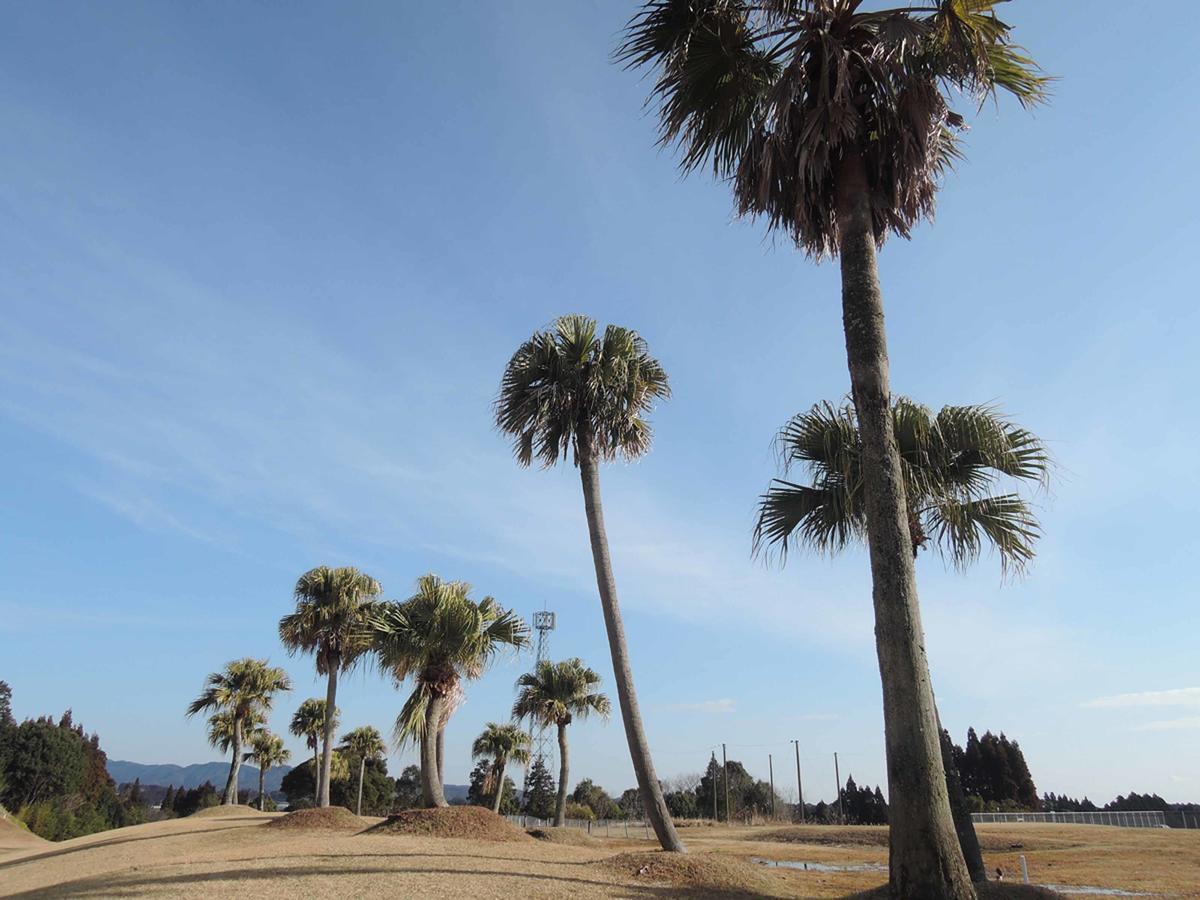 Miyazaki Kokusai Kuko Country Club Lodge Екстер'єр фото
